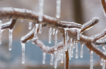 8 Tips to Protect Your Home this Winter